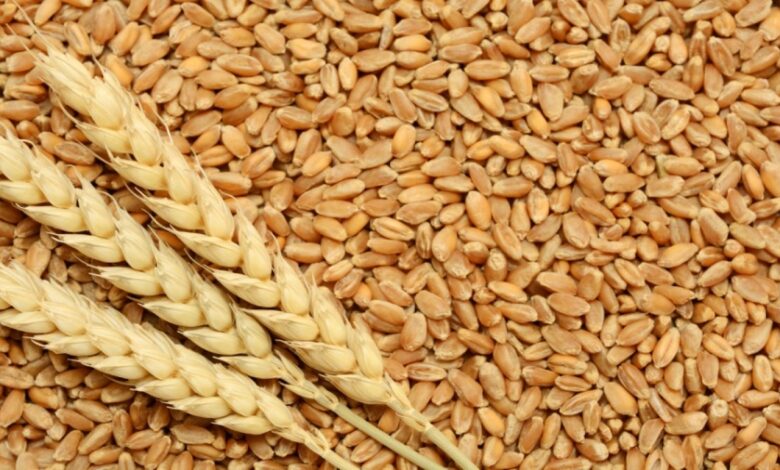 سلاسل التوريد الغذائي